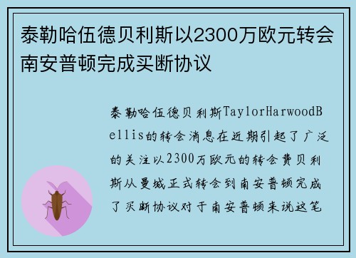 泰勒哈伍德贝利斯以2300万欧元转会南安普顿完成买断协议 泰勒哈伍德贝利斯以2300万欧元转会南安普顿完成买断协议